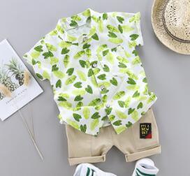 Dinosaur Print Short Sleeve Shirt + Pants - Green Leaf 24M 