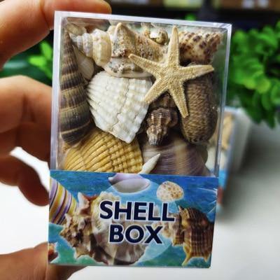 Shell Box (50g) - 